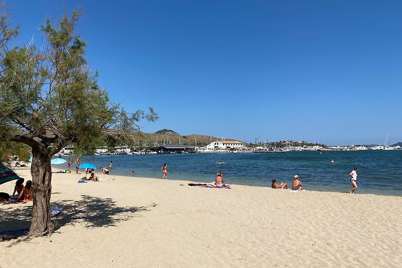 Genießen Sie Ihren Urlaub am karibischen Strand mit Palmen und azurblauem Wasser.