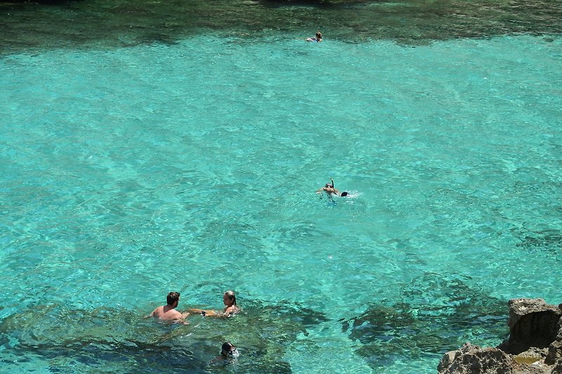 Erfrischendes Wasser, grüne Landschaft und einladender Pool - der perfekte Ort für Ihren Sommerurlaub.