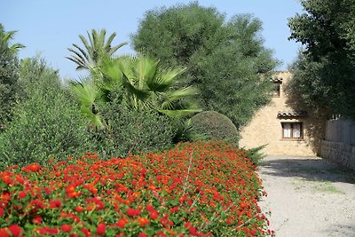 Vakantiehuis Ontspannende vakantie Pollença