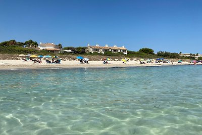 Can Roig