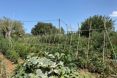 Finca mit Pool Pollença