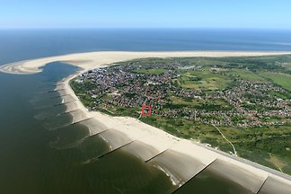 Nordseeperle