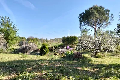 Wohnung "Campo del Conte"