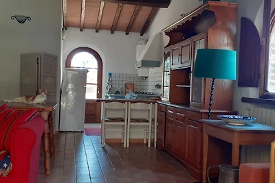 Wohnung "Campo del Conte"