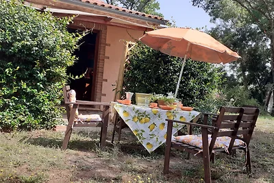 Wohnung "Campo del Conte"