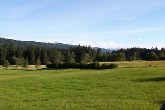 Appartement à Weiler-Simmerberg