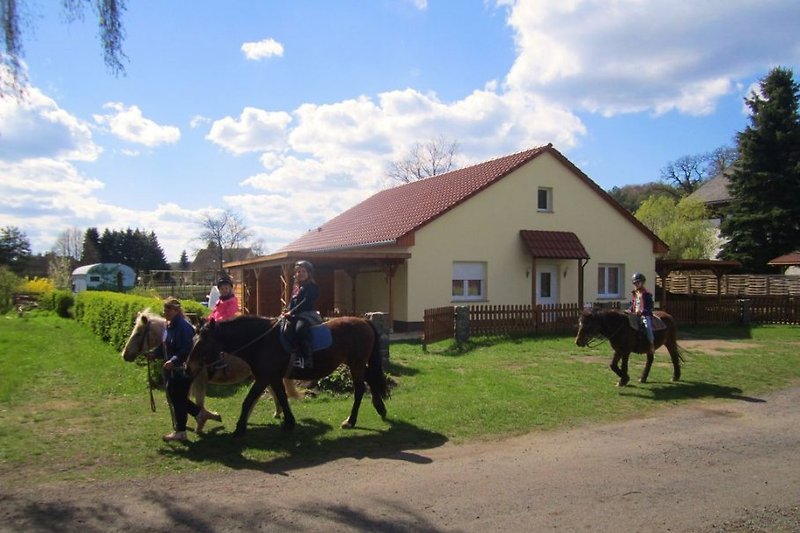 Front mit Pferden benachbarten Reiterhofes