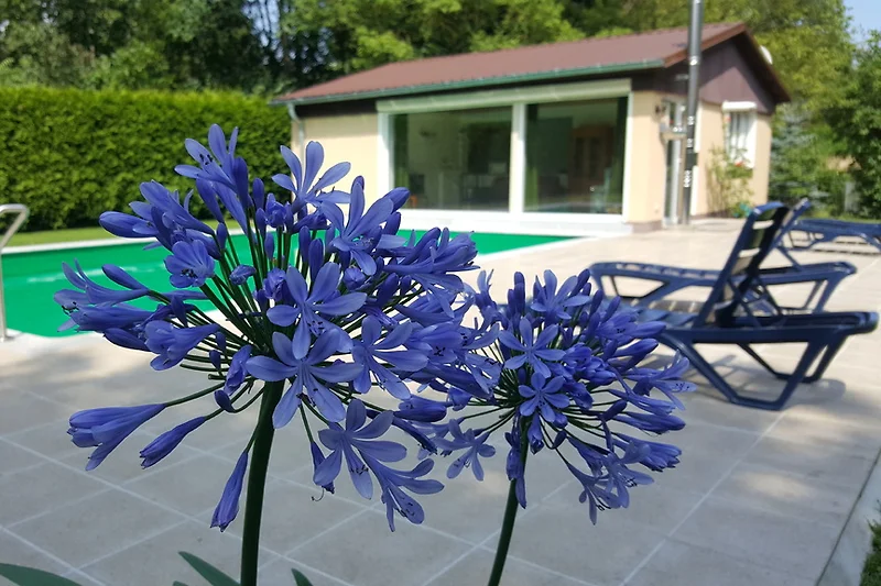 Descrizione della foto delle vacanze: una famiglia felice sta godendo di un picnic all'aperto in un parco soleggiato. Ci sono cestini pieni di cibo, una coperta a quadri sul prato e bambini che giocano con un frisbee in lontananza.