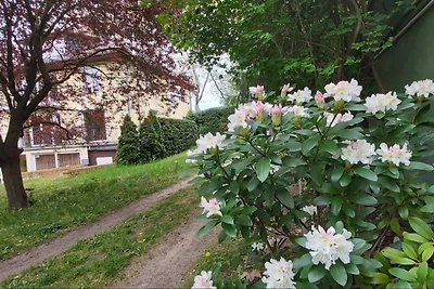 Top-Ferienhaus  in idyllischer Lage