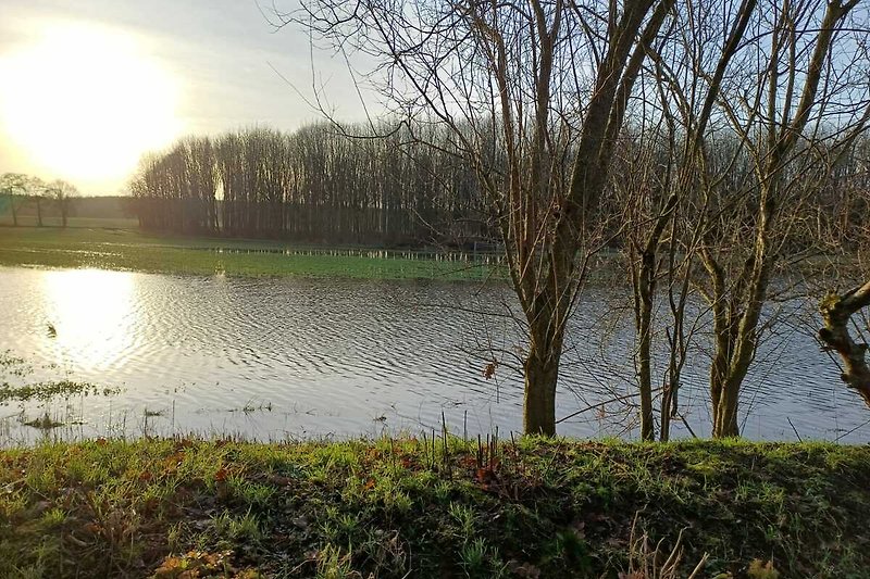 Die Ems klopft an - Hochwasser am Haus zum Jahreswechsel 2023/24