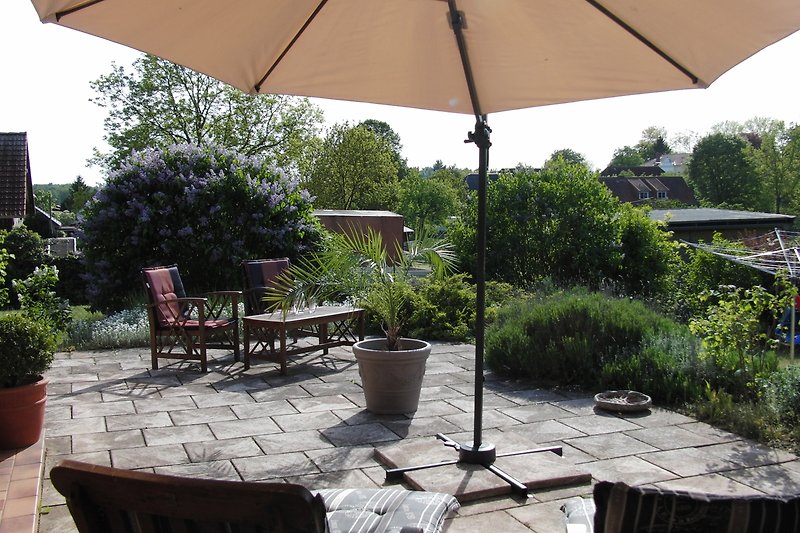 Schöner Garten mit Pflanzen, Sonnenschirm und Gartenmöbeln.