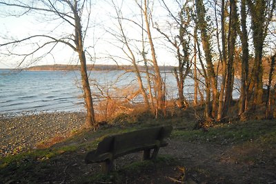 Lenzer Parkblick aan het meer