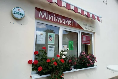 Ferienhaus am Fleesensee