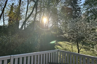 La maison suédoise de Toms Stuga