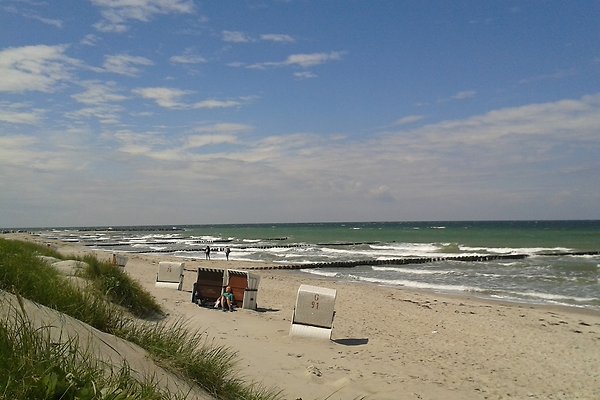 Familie Gebhard Familie Gebhard