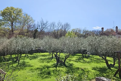 Villa Vicenca