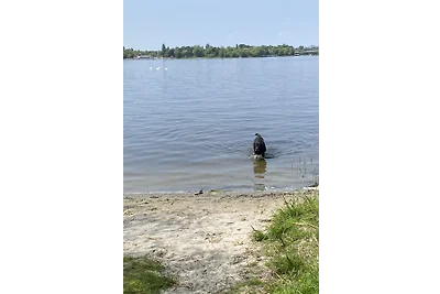 Pittis Häuschen