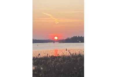 Pittis Häuschen 4