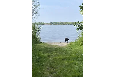 Pittis Häuschen 5
