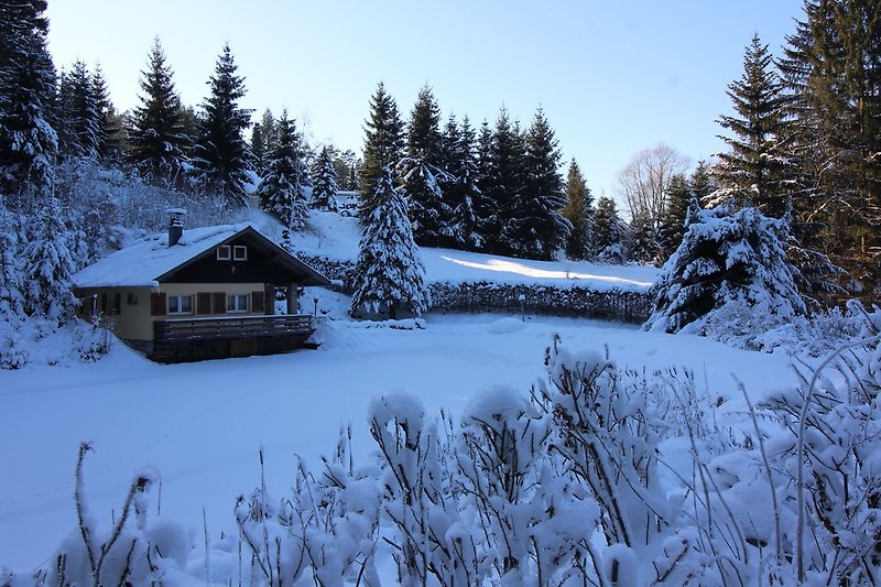 Haus im Winter mit Schnee