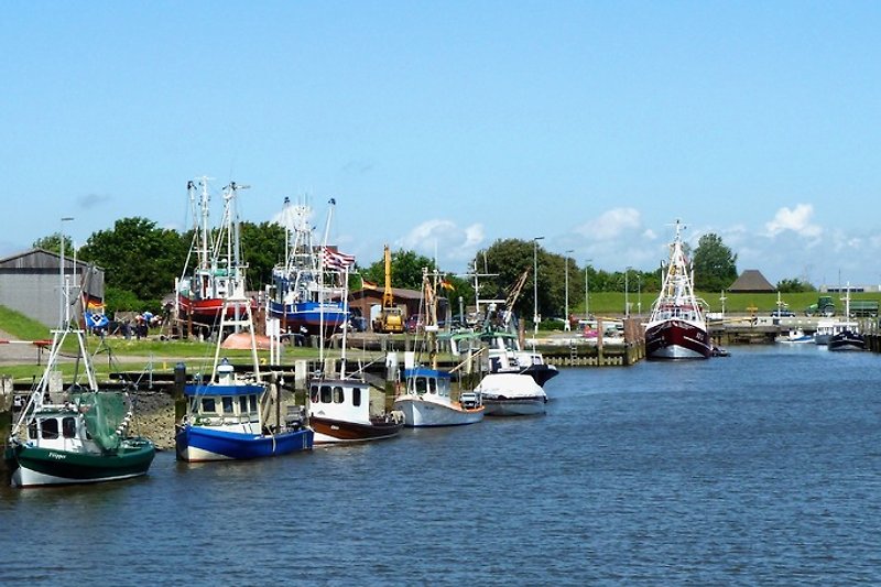 FKoog Hafen
