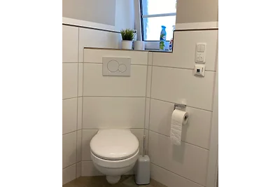 Friesenhus achtern Diek