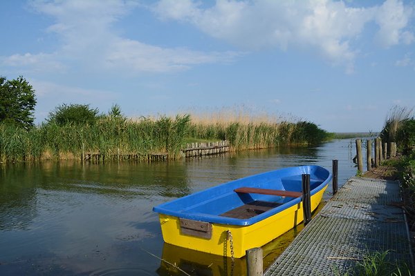 Ferienwohnung Stolpe auf Usedom