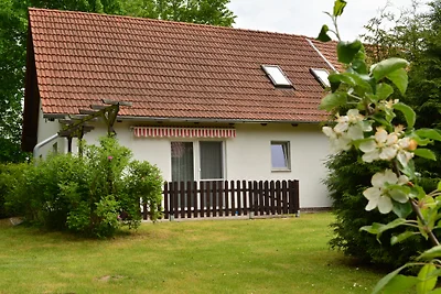 2-Raum Wohnung mit Terrasse; WLAN