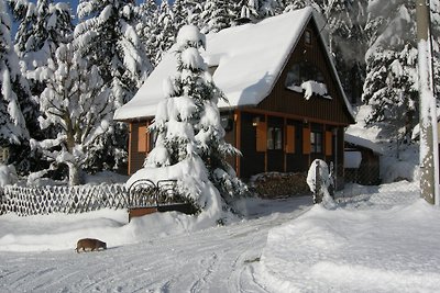 naar het boshuis - vakantiehuis