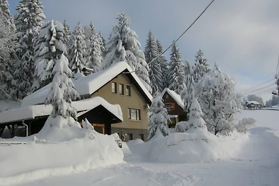 zum Waldhaus - Ferienwohnung