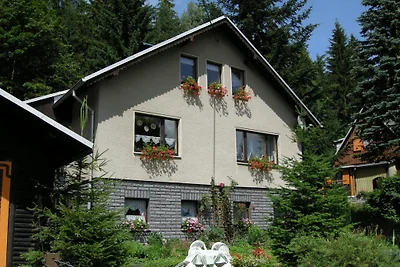 zum Waldhaus - Ferienwohnung