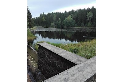 alla casa nel bosco - casa vacanze