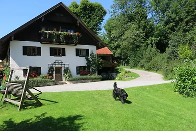 Appartamento Vacanza con famiglia Salzburg