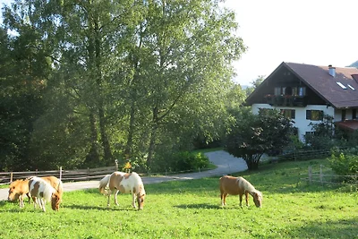 Appartamento Vacanza con famiglia Salzburg
