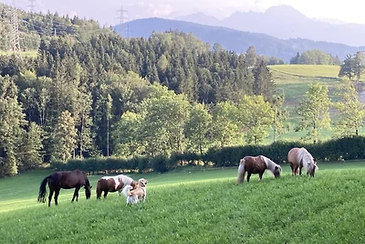 Appartamento Vacanza con famiglia Salzburg