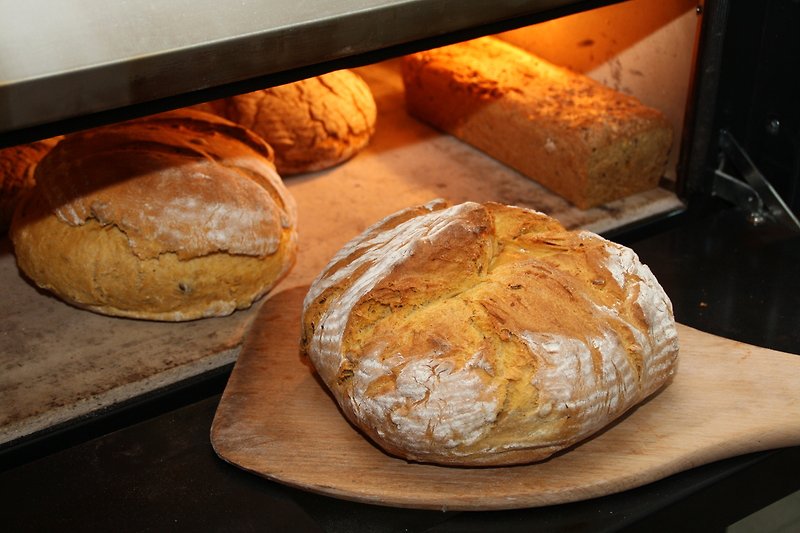 Brot backen workshop
