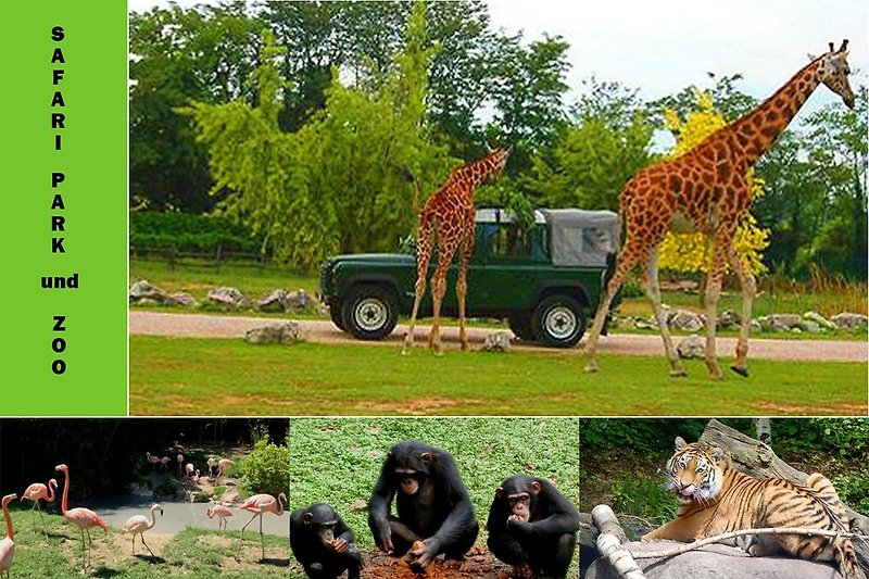 Safaripark mit Zoo