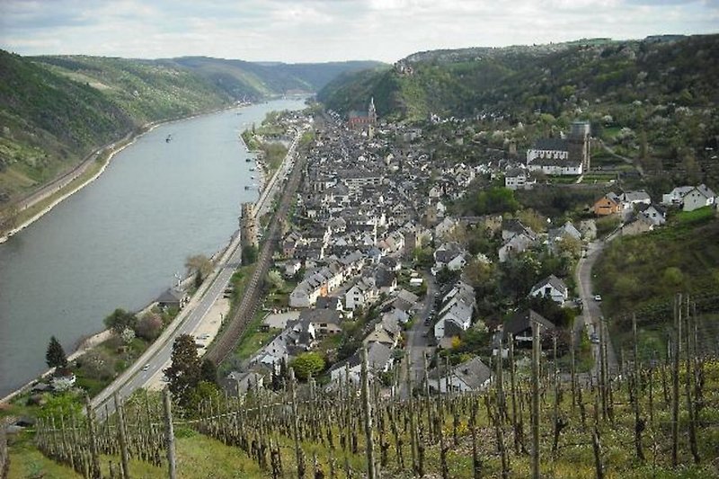 Blick auf Oberwesel und den Rhein