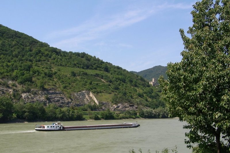 Uw uitzicht vanaf het balkon op de Donau en de ruïne van Hinterhaus
