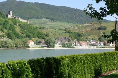 Ferienwohnungen Sommer Wachau 2