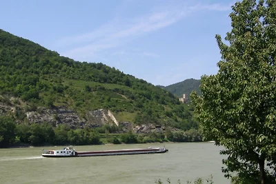 Ferienwohnungen Sommer Wachau 2