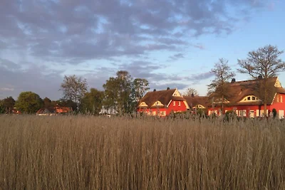 Vakantiehuis Ontspannende vakantie Prerow