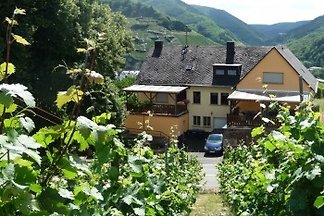 Ferienwohnung Lindenhof