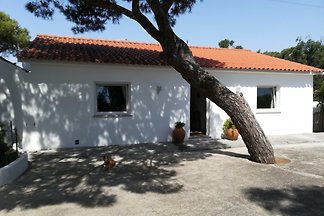 Casa Caracol