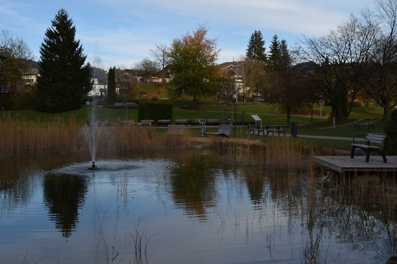 Eine idyllische Landschaft mit einem See, Bäumen und einer Grünfläche im Kurpark.