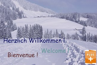 Apartament Dla rodzin Steibis