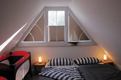 Haus Seeigel