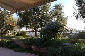 Villa Chiara