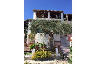 Arcaidu
