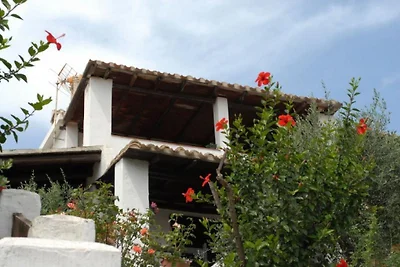 Arcaidu